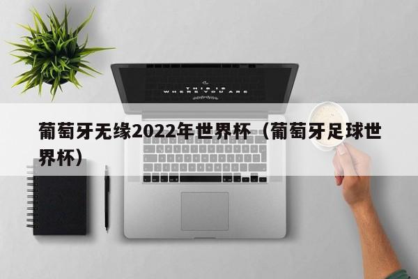 葡萄牙无缘2022年世界杯（葡萄牙足球世界杯）