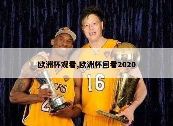 欧洲杯观看,欧洲杯回看2020